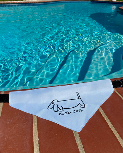 cool.dog. Pet bandana collar