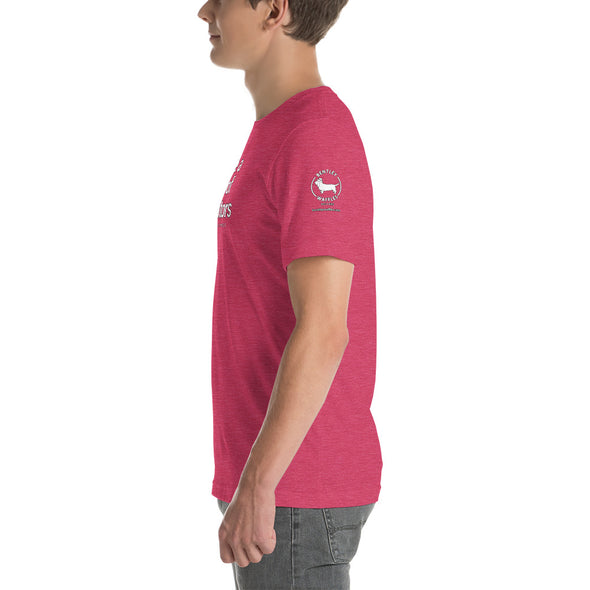 Elevators Unisex t-shirt