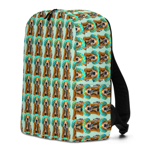 Bentley's Backpack